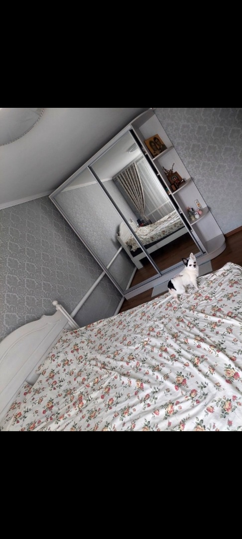 продажа дома номер H-173509 в Южном, фото номер 14